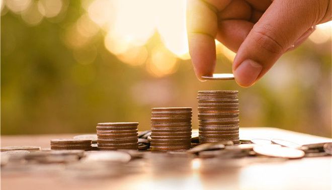 人生就是博：2020-24年宠物服装项目投资可行性研究需求增加前景较好(图1)