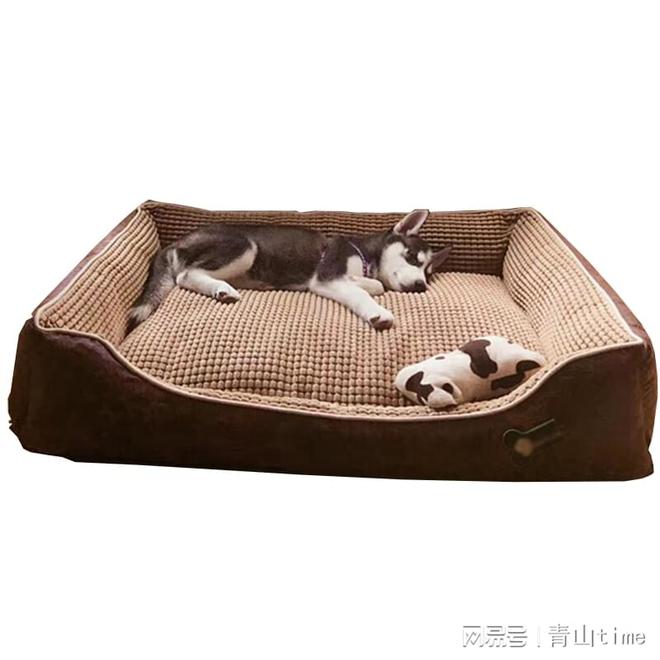 2024宠物展会上海国际宠物展览会【点击咨询】(图3)