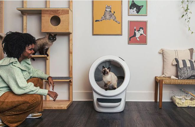 宠物抬咖？2024宠物消费8大趋势(图8)