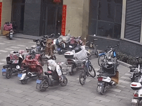 人生就是博：危险！自行车上不要加装这些物品！(图2)