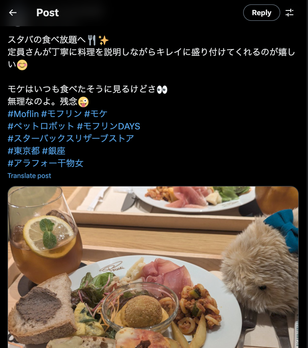 哪个正常人能拒绝一只毛茸茸的「电子猫咪」？(图2)