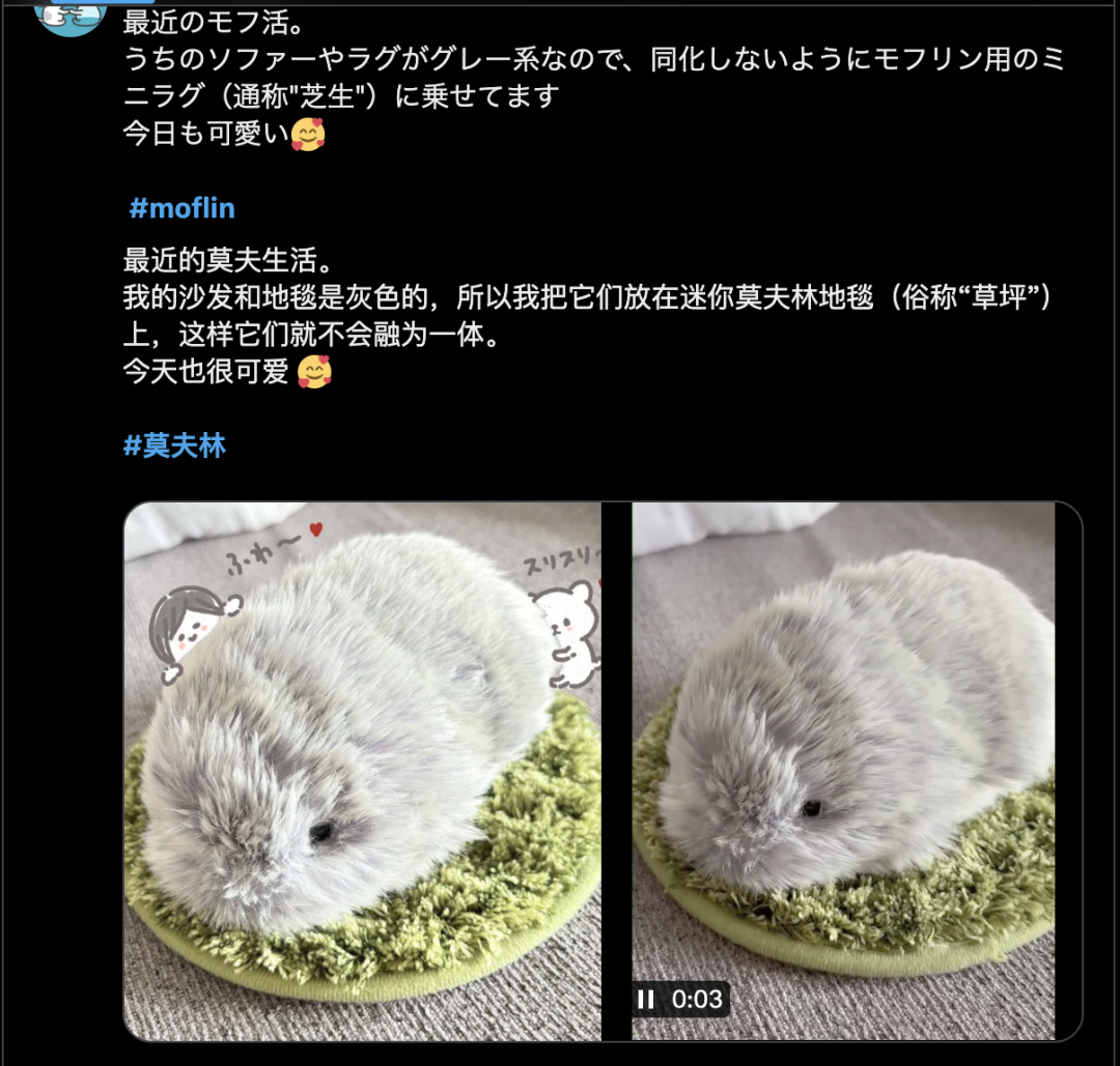 哪个正常人能拒绝一只毛茸茸的「电子猫咪」？(图4)