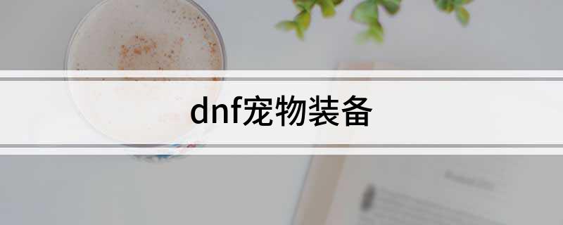 人生就是博：dnf宠物装备(图1)
