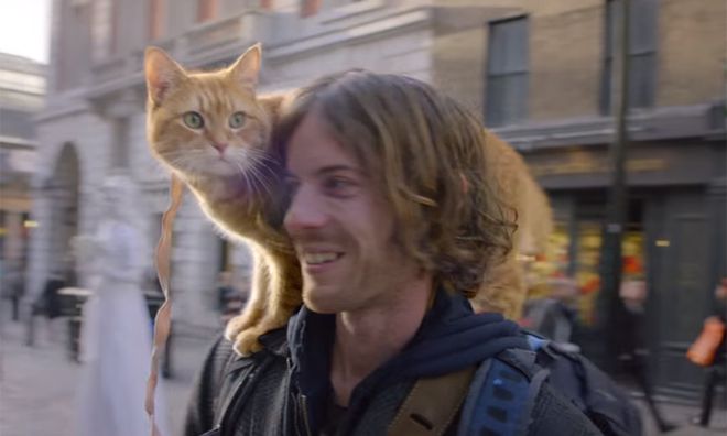 新生儿不够用了迪士尼盯上宠主的钱包(图4)