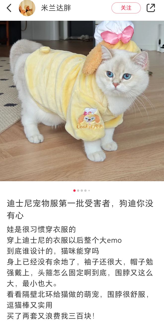 新生儿不够用了迪士尼盯上宠主的钱包(图2)