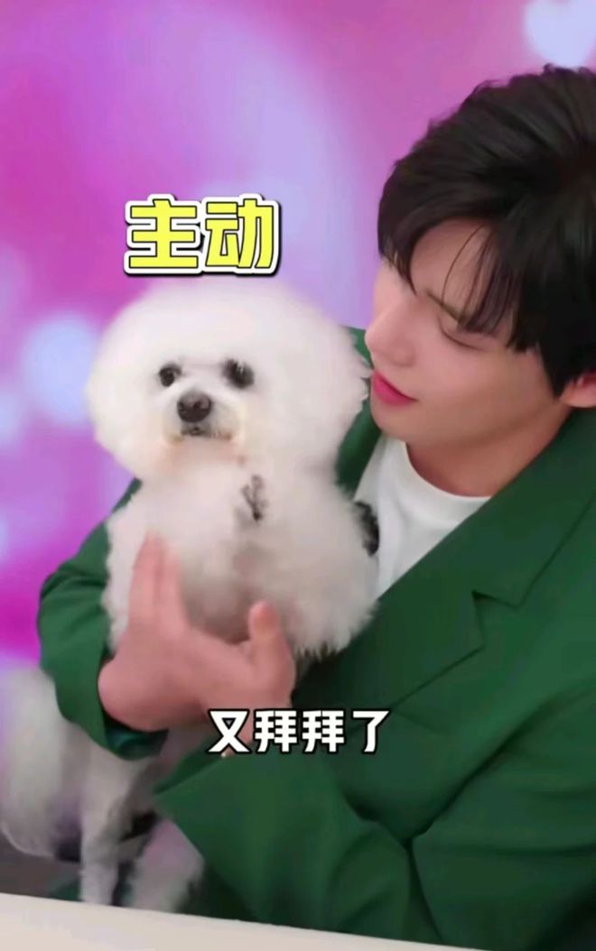 新生儿不够用了迪士尼盯上宠主的钱包(图6)