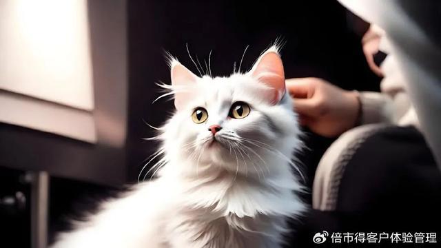 宠物消费新趋势（一）：精细化、智能化、个性化(图1)