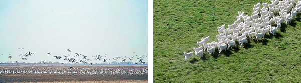 善议论坛2024：向前沿学习(图2)