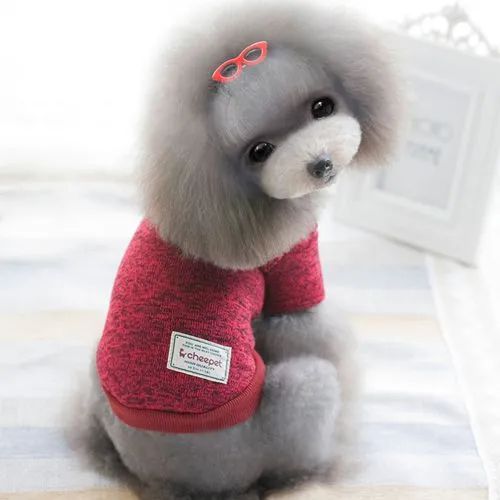 宠物狗服装市场规模分析及发展前景预测(图1)