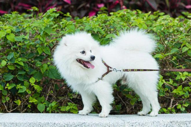 免费试吃！深圳12月4日-8日展会排期！(图3)