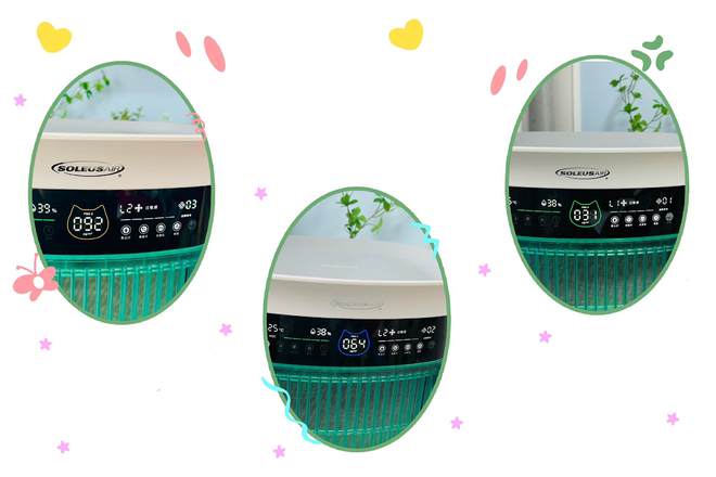 舒乐氏Umi宠物净化器吸附宠物浮毛、去异味更呵护家人健康(图18)