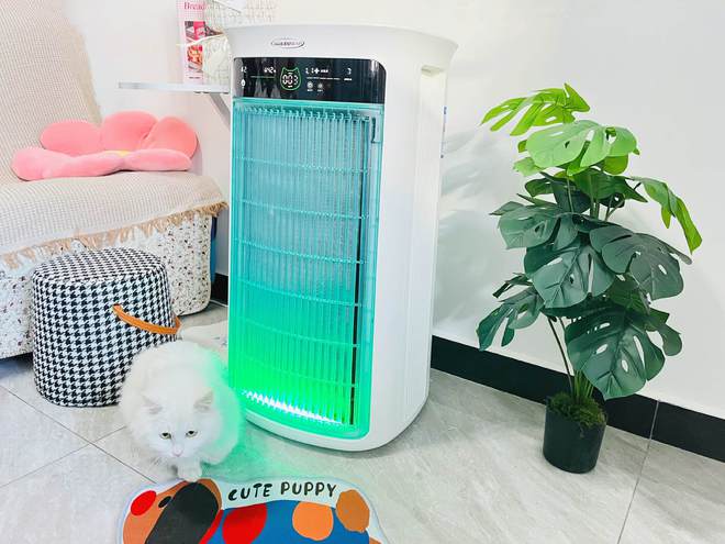 舒乐氏Umi宠物净化器吸附宠物浮毛、去异味更呵护家人健康(图12)