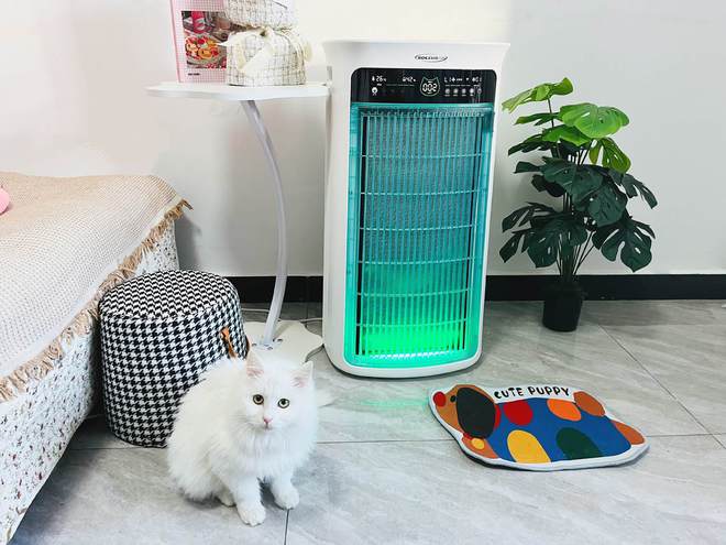 舒乐氏Umi宠物净化器吸附宠物浮毛、去异味更呵护家人健康(图16)