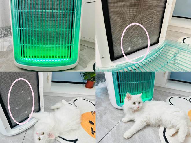 舒乐氏Umi宠物净化器吸附宠物浮毛、去异味更呵护家人健康(图27)