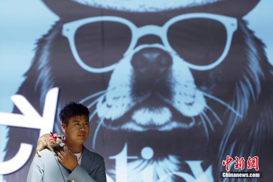 上海宠物时装周开幕(图1)