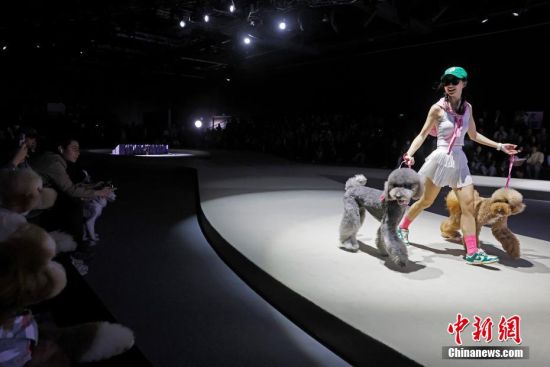 上海宠物时装周开幕(图3)