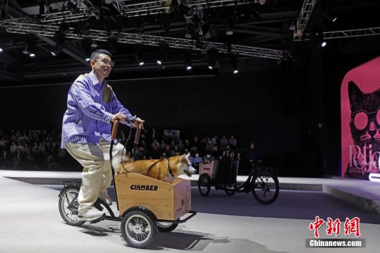 上海宠物时装周开幕(图4)