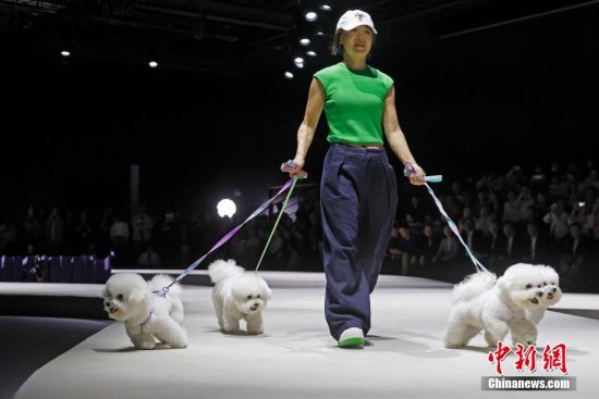 上海宠物时装周开幕(图5)