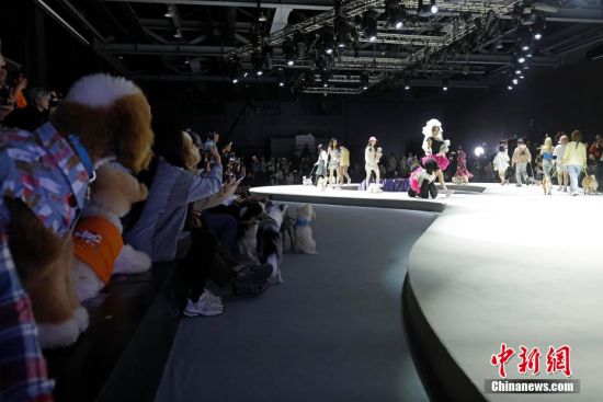 上海宠物时装周开幕(图6)
