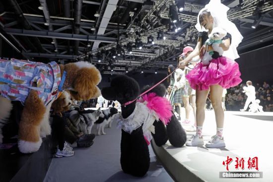 上海宠物时装周开幕(图7)