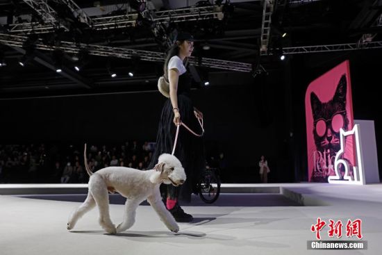 上海宠物时装周开幕(图9)