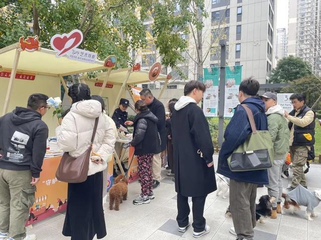 z6尊龙·凯时：从流浪到治愈萌宠市集见证疗愈犬的使命之旅(图7)