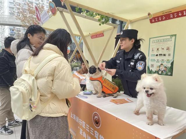 z6尊龙·凯时：从流浪到治愈萌宠市集见证疗愈犬的使命之旅(图2)