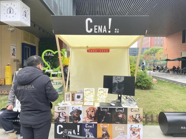 z6尊龙·凯时：从流浪到治愈萌宠市集见证疗愈犬的使命之旅(图5)