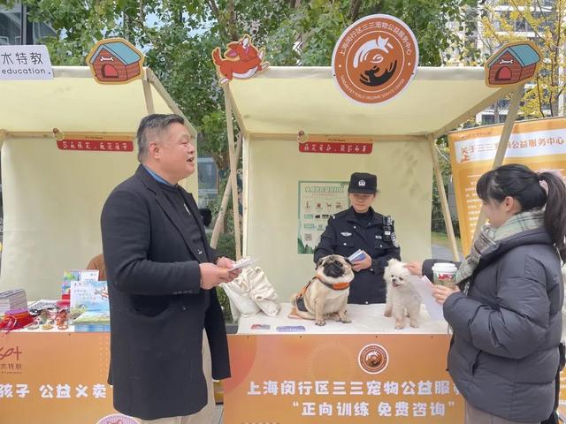 z6尊龙·凯时：从流浪到治愈萌宠市集见证疗愈犬的使命之旅(图4)