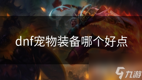 dnf宠物装备哪个好点(图1)