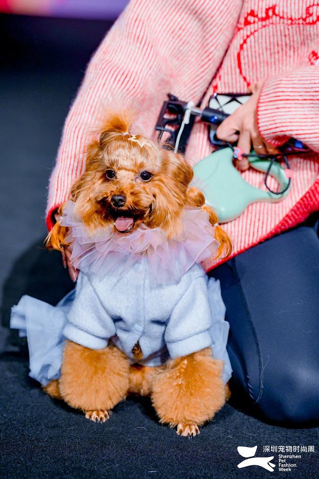 2024深圳宠物时尚周圆满落幕创新交融探索行业未来(图2)