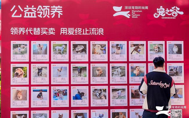 2024深圳宠物时尚周圆满落幕创新交融探索行业未来(图9)