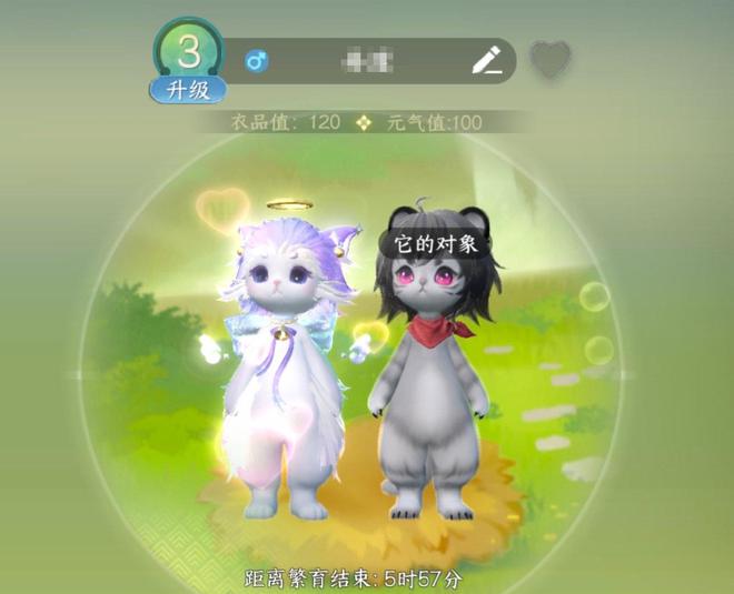 带娃乞讨在街上当DJ玩摇滚这就是年轻人最喜欢的生活方式？(图5)