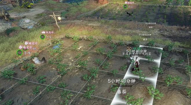 带娃乞讨在街上当DJ玩摇滚这就是年轻人最喜欢的生活方式？(图6)