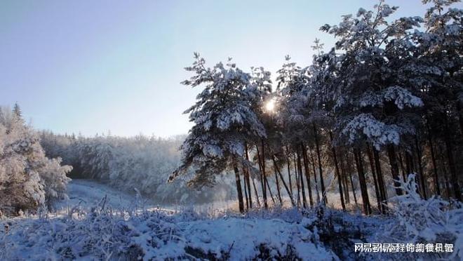 尊龙凯时网站：河南省新乡中联服装有限公司废弃物料处置入围项目(图1)