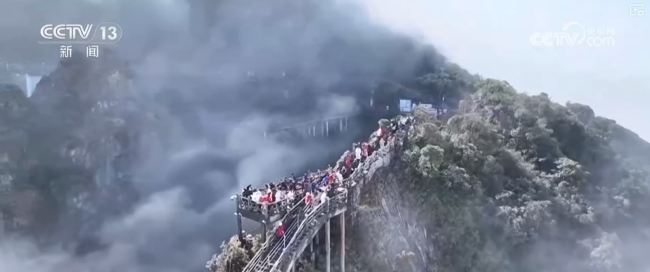 “新”中有“机”！创新服务承接新流量撬动消费升级(图9)