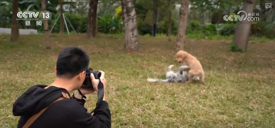 “新”中有“机”！创新服务承接新流量撬动消费升级(图17)