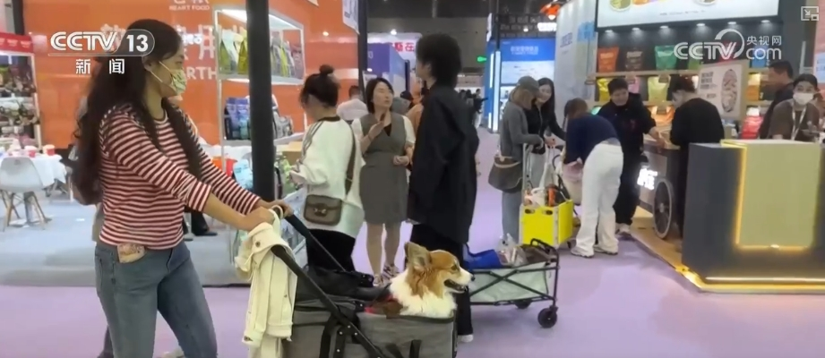 “新”中有“机”！创新服务承接新流量撬动消费升级(图15)