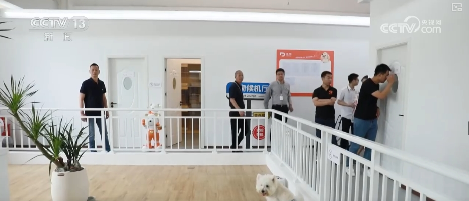 “新”中有“机”！创新服务承接新流量撬动消费升级(图16)