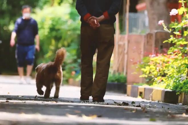 尊龙凯时网站：警惕老人听力受损899入手町石TC1600助听器实测体验(图1)