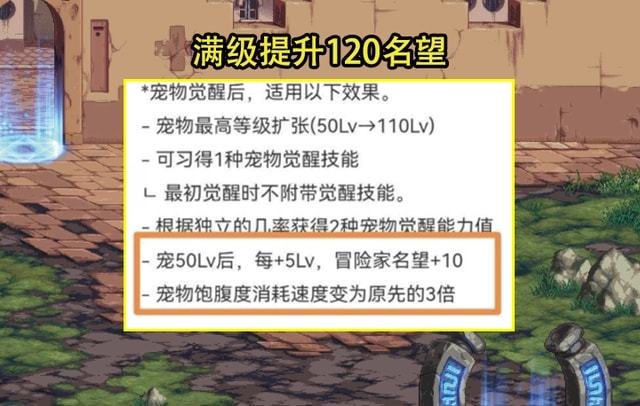 DNF：宠物系统20亮点曝光！蓝装带属攻+拾物等级上限至110级(图4)