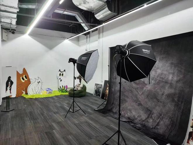 2024上海领养日摄影双展来袭(图1)