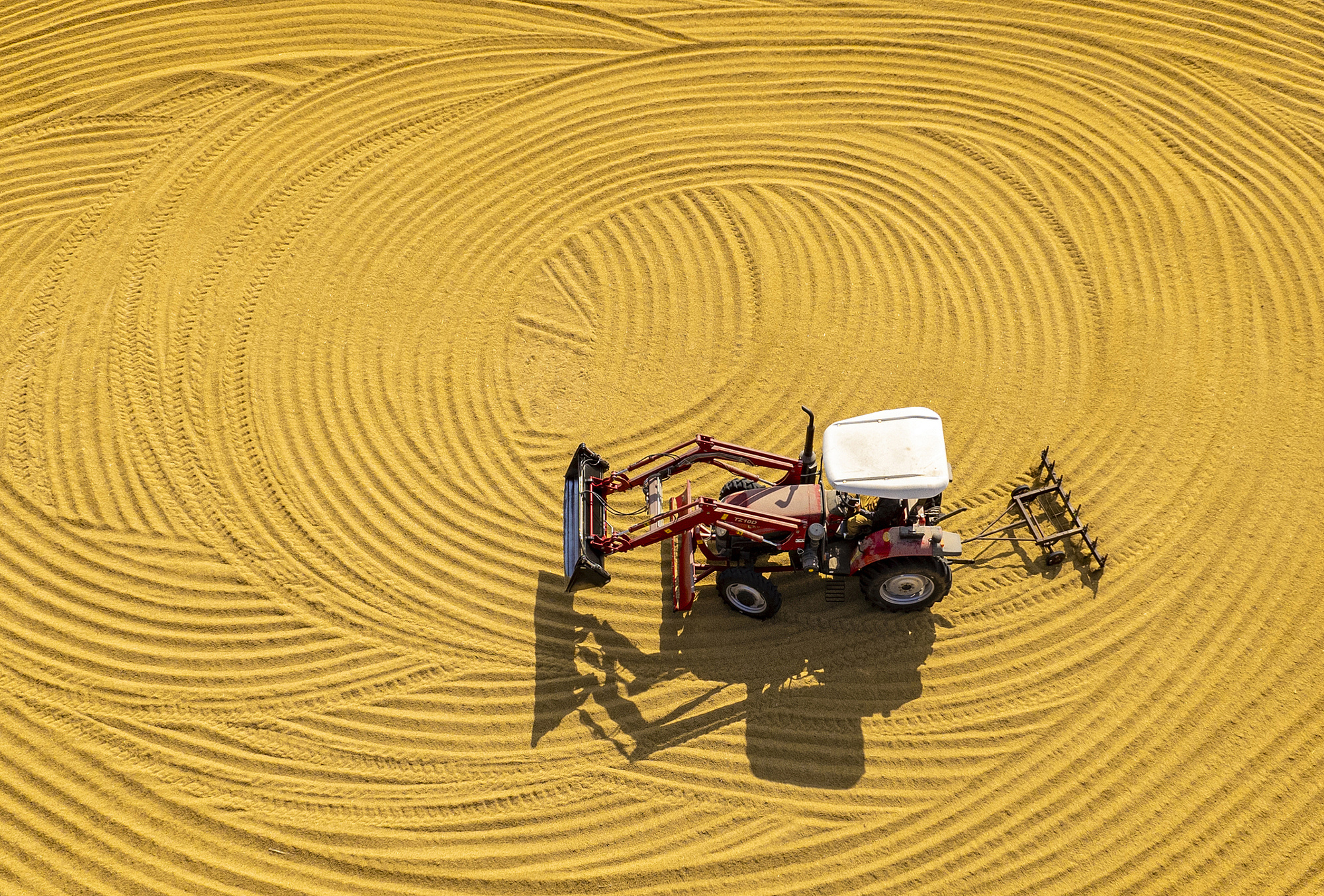 人生就是博：中国饭碗里装了更多中国粮三组数据看2024三农“成绩单”(图1)