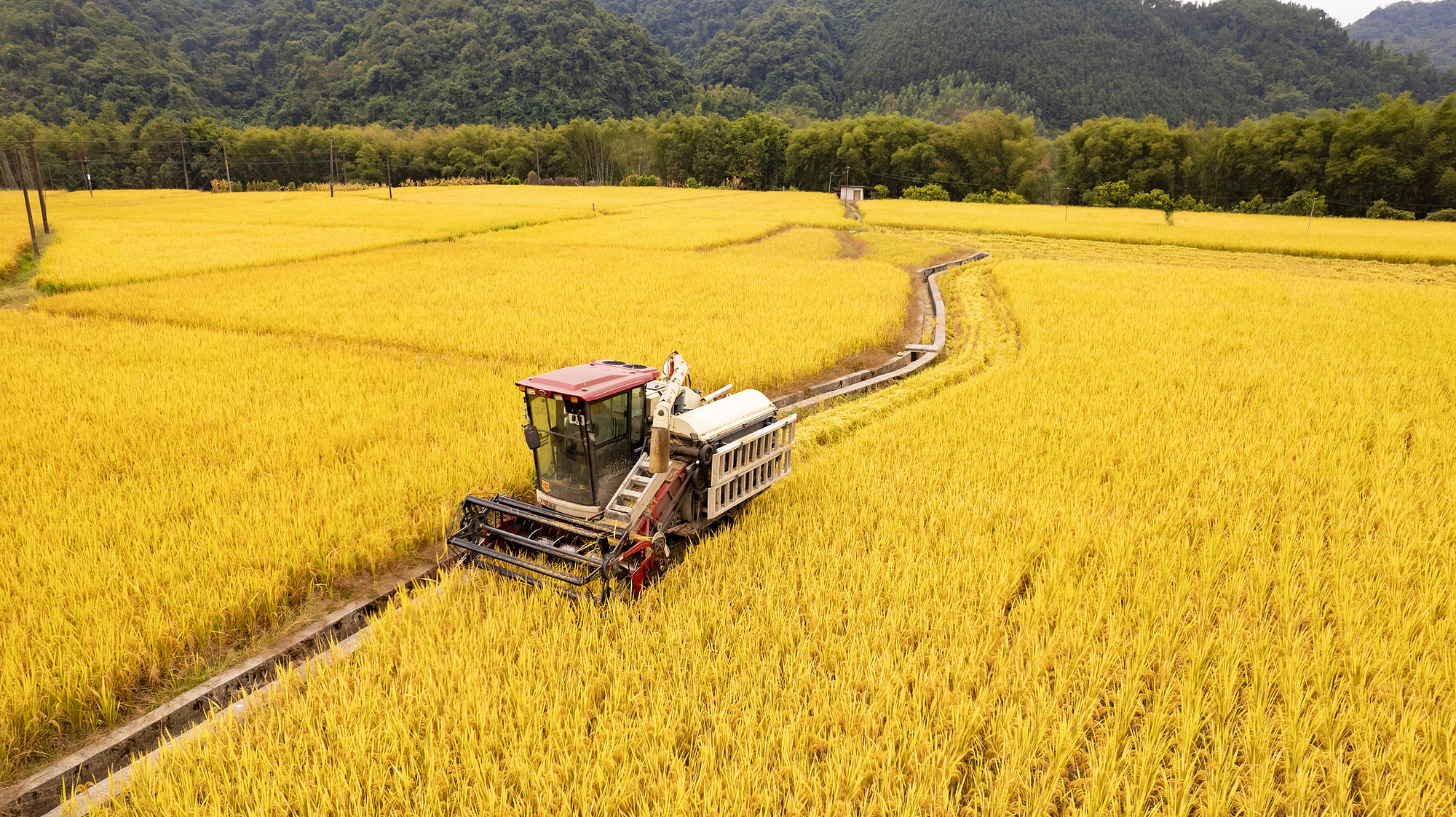 人生就是博：中国饭碗里装了更多中国粮三组数据看2024三农“成绩单”(图2)