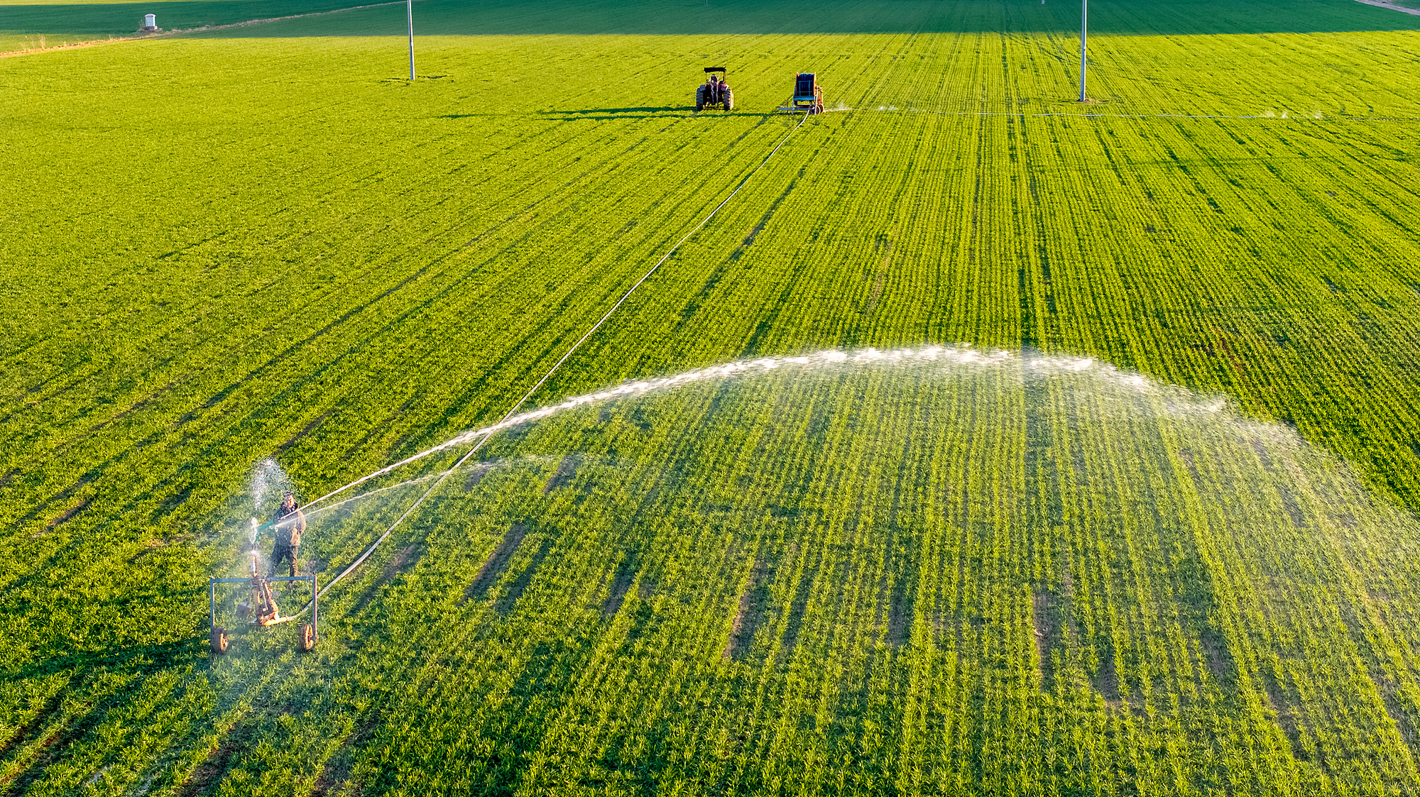 人生就是博：中国饭碗里装了更多中国粮三组数据看2024三农“成绩单”(图3)