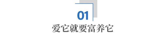 宠物坐月子、拍写真：年轻人养宠真爱还是虚荣？(图1)