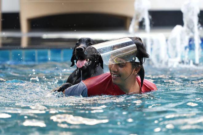 现在开始流行“带娃式”养宠了？(图3)