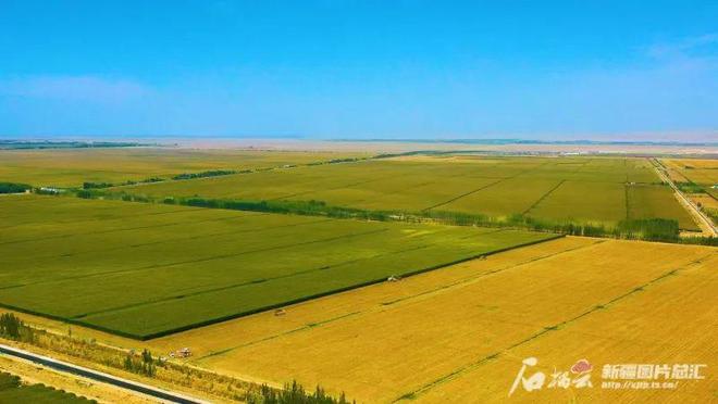 2024年阿勒泰地区农业总产值增速9%增速全疆第一(图1)