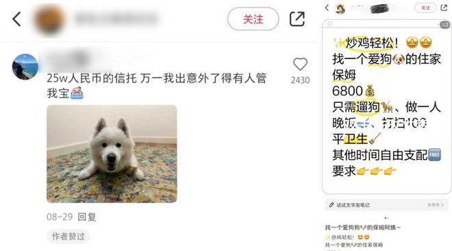 宠物也要“坐月子”了(图1)