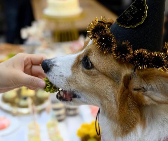 建议大家早做准备不出意外的线月起国内会迎来五大趋势(图9)